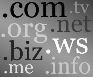 Domain Name Disputes 101